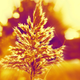 Illustration for article titled Shooting Challenge: Repurposed Cheesy Photo Filters 2